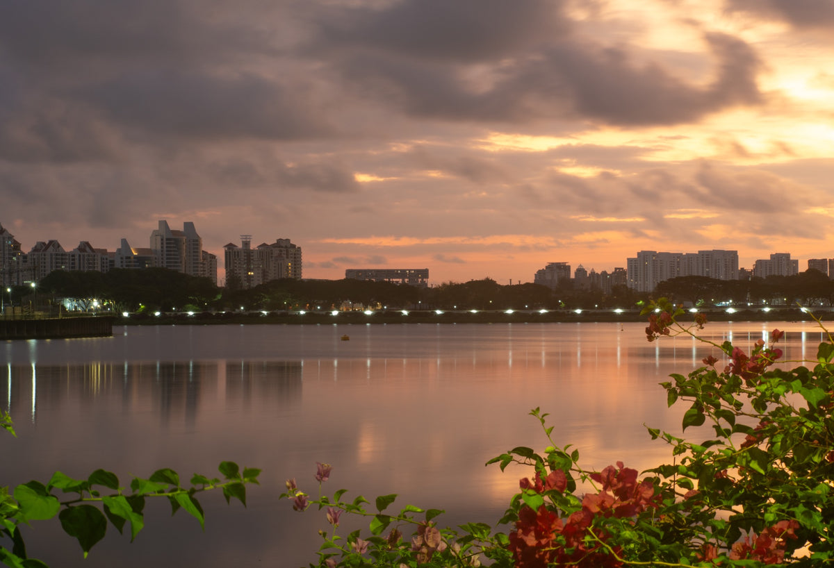 Golden sunrise over Singapore’s waterfront, with reflections on the bay and flowering branches in the foreground.