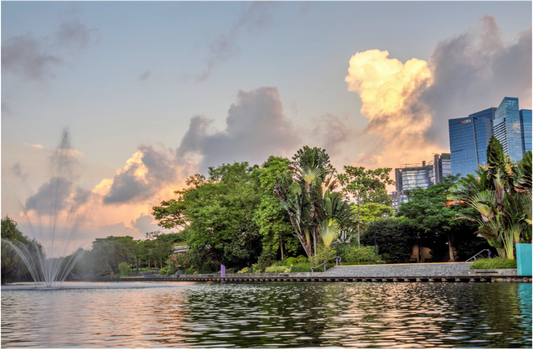 Cloudfire Over the Bay